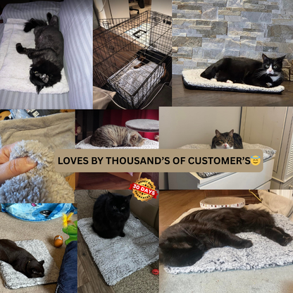FurHaven™- The Warmth Your Pet Deserves