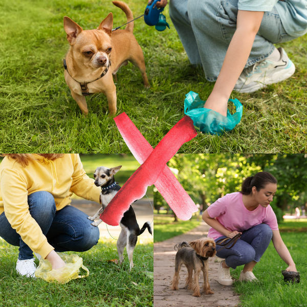 Easy Dog Waste Collector
